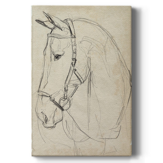 Horse in Bridle Sketch II - Canvas Art Print