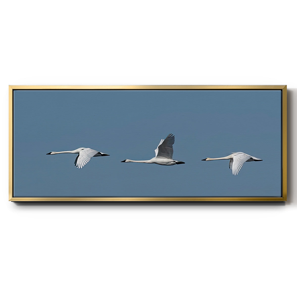 Wing Up Wing down - Floater Framed Canvas Print
