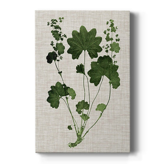 Forest Foliage on Linen IV - Canvas Art Print