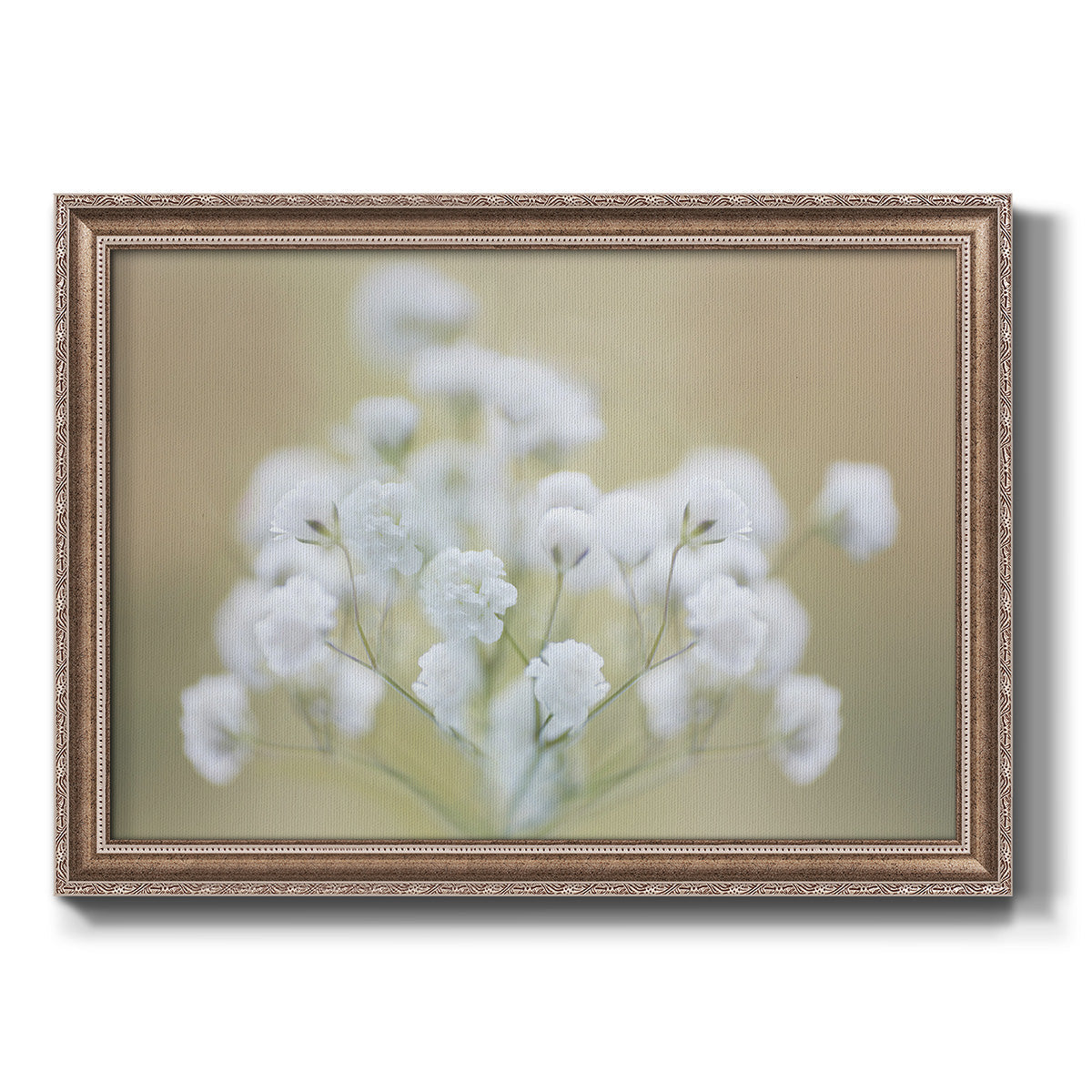 Baby's Breath Study I Premium Framed Canvas- Ready to Hang