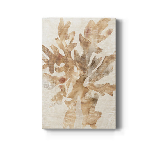 Parchment Coral IV Premium Gallery Wrapped Canvas - Ready to Hang