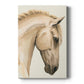 Golden Palomino I Premium Gallery Wrapped Canvas - Ready to Hang