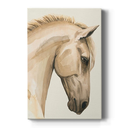 Golden Palomino I - Canvas Art Print