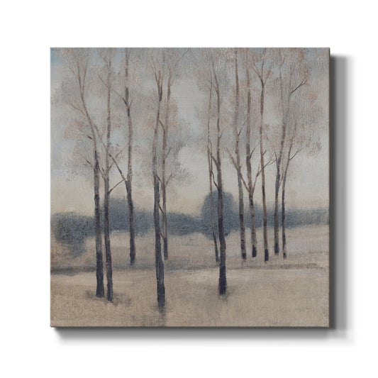 Soft Light I - Canvas Art Print
