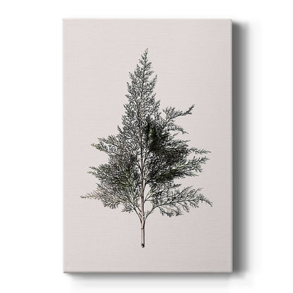 Pearled Morning at Dawn - Canvas Art Print