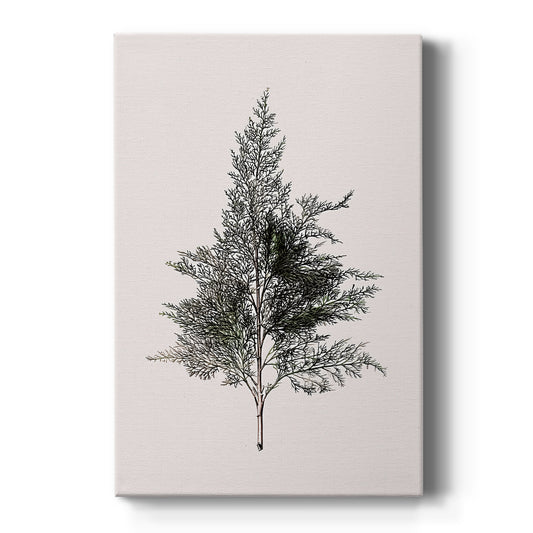 Pearled Morning at Dawn - Canvas Art Print