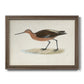 Morris Sandpipers II Premium Framed Canvas- Ready to Hang