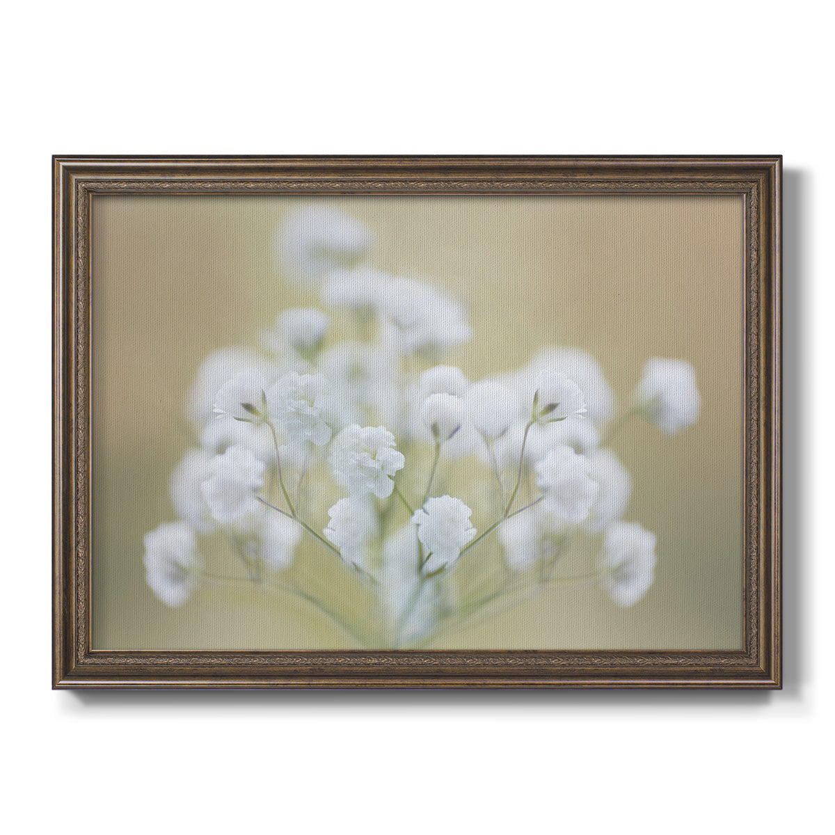 Baby's Breath Study I Premium Framed Canvas- Ready to Hang