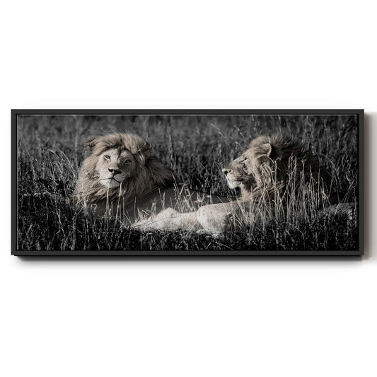 Mara Lions - Floater Framed Canvas Print