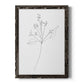 Botanical Gesture V - Barnwood Framed Canvas Print