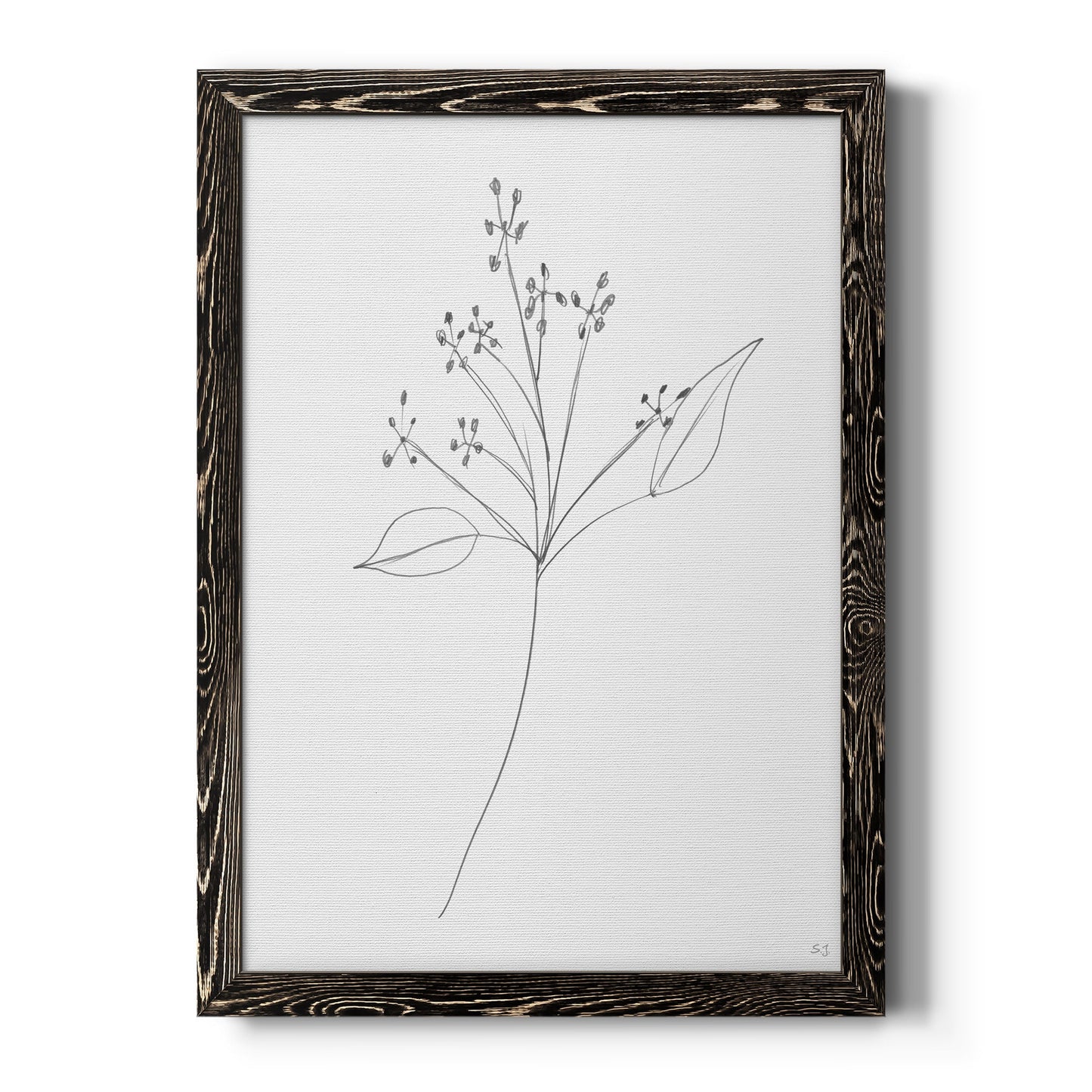 Botanical Gesture V - Barnwood Framed Canvas Print