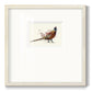 Pheasant Splash 2 Premium Framed Print Double Matboard