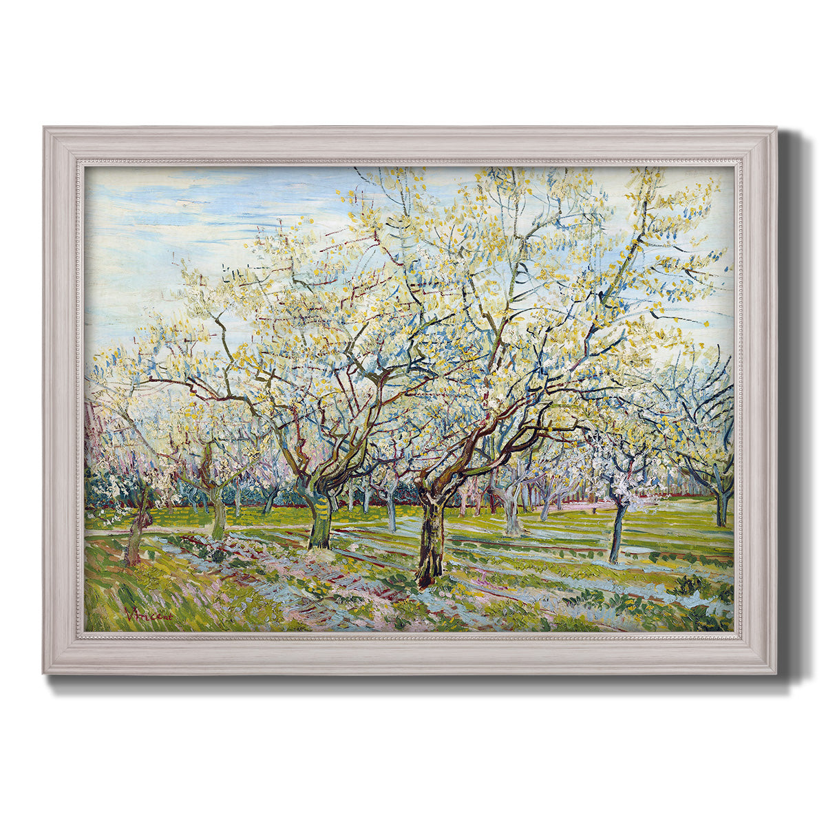 Impressionist white-blossomed orchard landscape by Vincent van Gogh printed on canvas in an ornate weathered white frame.