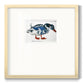 Blue Mallard Premium Framed Print Double Matboard