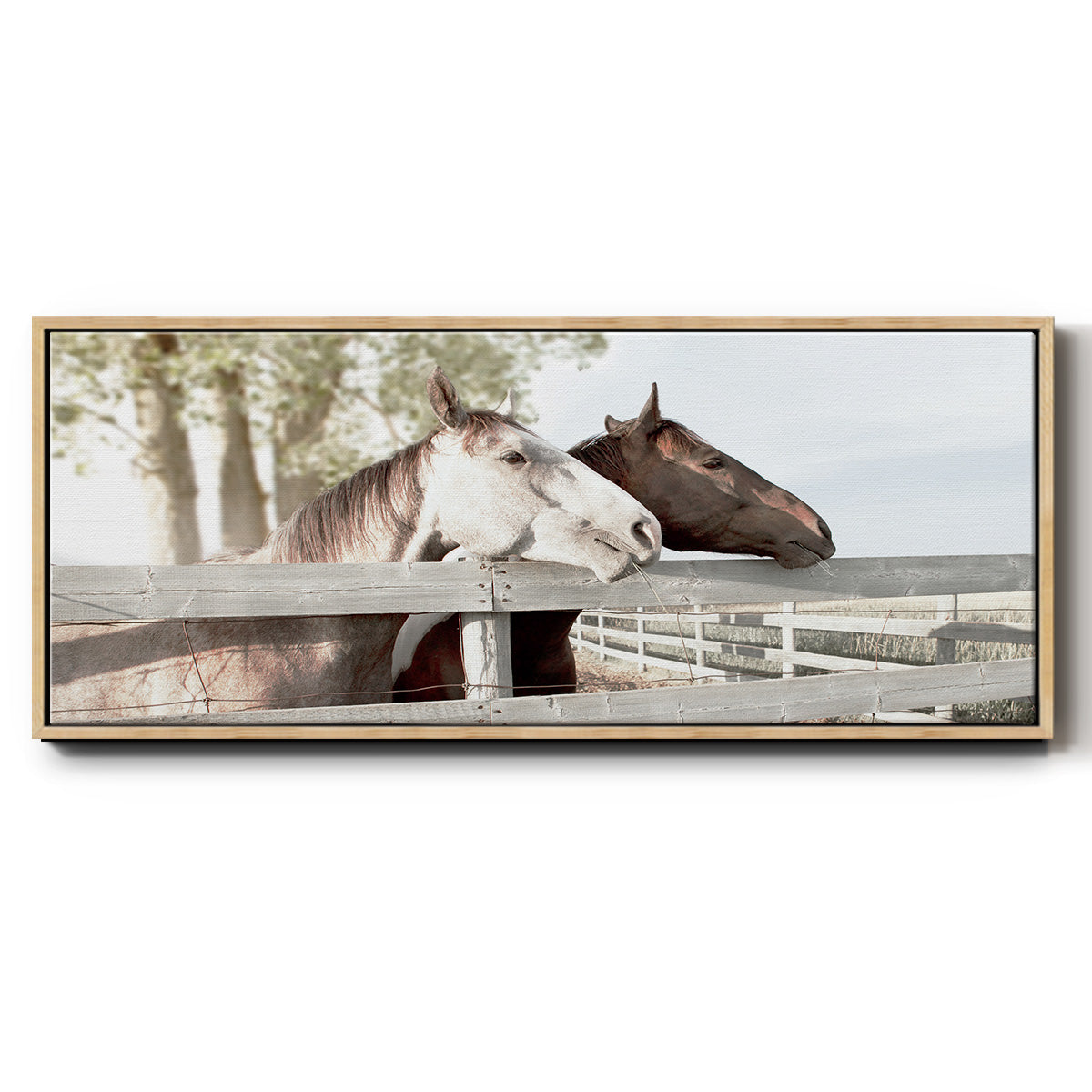 Friendly Visit - Floater Framed Canvas Print