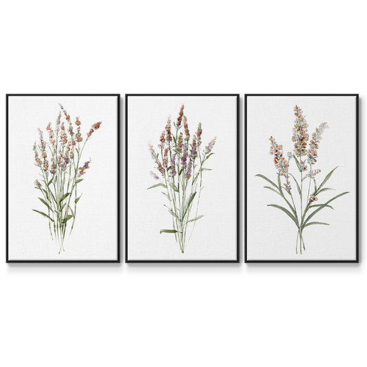 Dainty Botanical I - Floater Framed Canvas Set