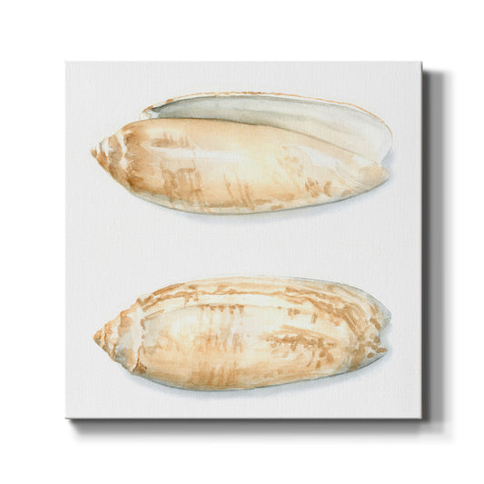 Watercolor Shells V - Canvas Art Print