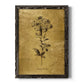 Gold Sketch Botanical II - Barnwood Framed Canvas Print
