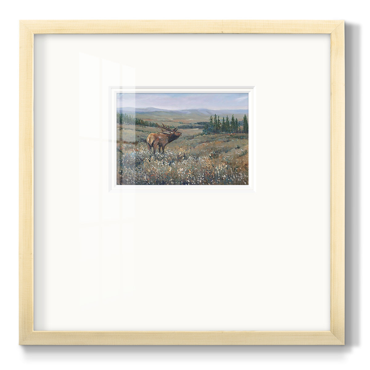 Western Wildlife I - Double Matboard Framed Print