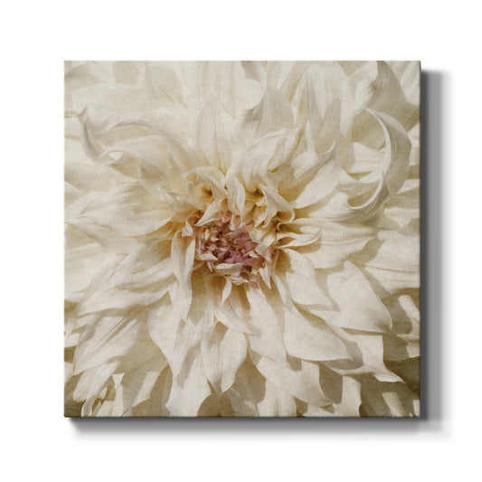 Wall Flower VIII - Canvas Art Print