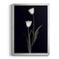 Tulip Pose II - Modern Framed Canvas Print