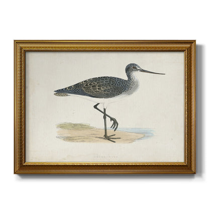 Morris Sandpipers III Premium Framed Canvas- Ready to Hang