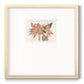 Amaryllis Varietals III - Double Matboard Framed Print