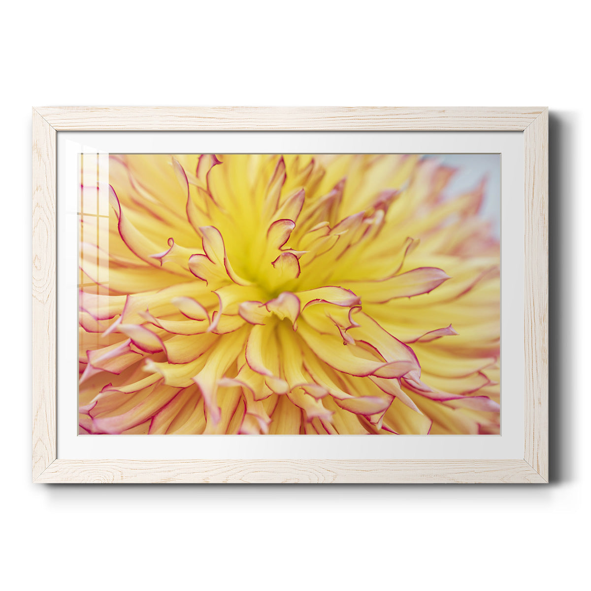 Blooms III - Barnwood Framed Art Print
