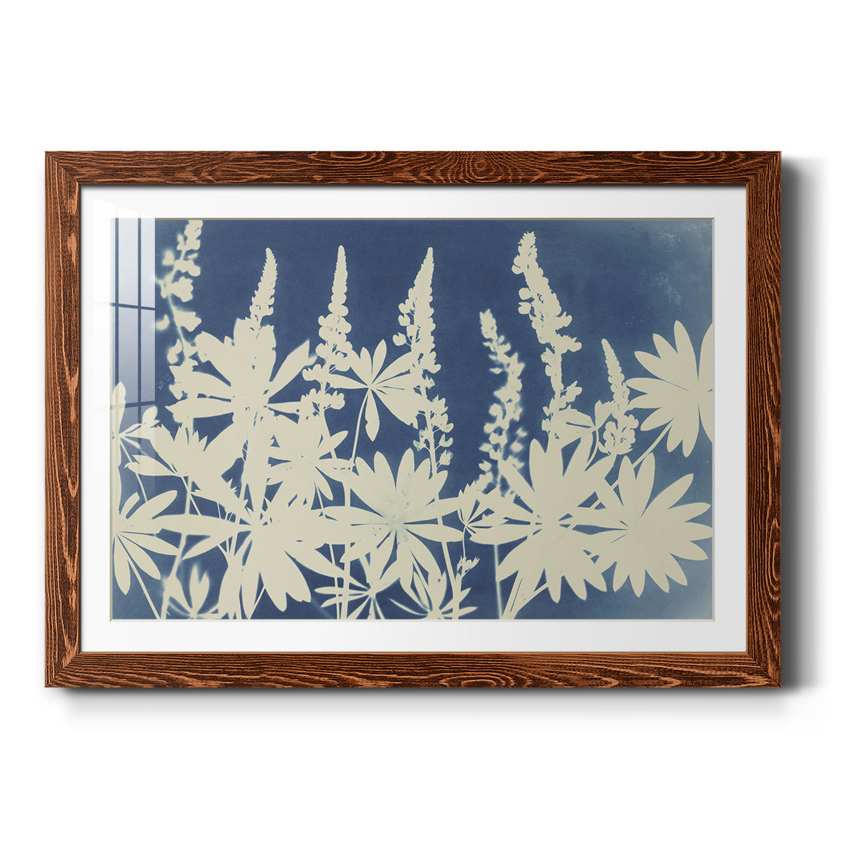 Lovely Lupine - Barnwood Framed Art Print