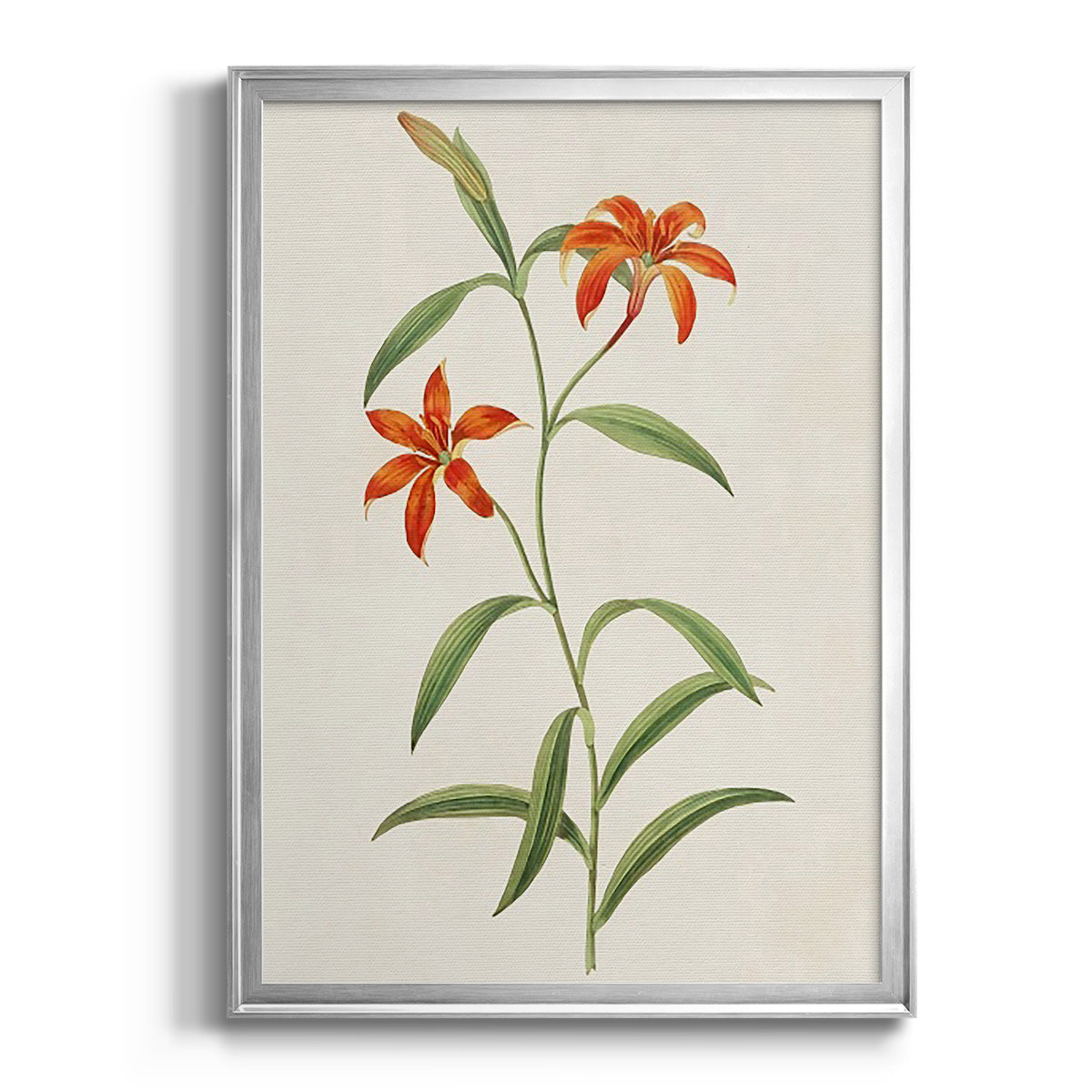 Flowers of the Seasons III - Modern Framed Canvas Print