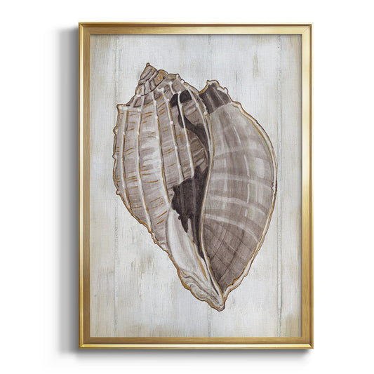 Ocean Cone II - Modern Framed Canvas Print