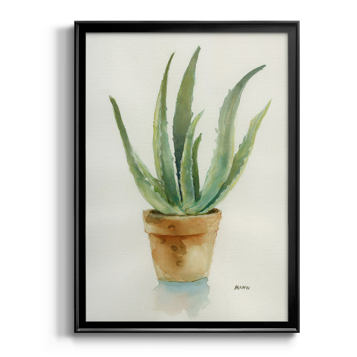 Succulent IV - Modern Framed Canvas Print