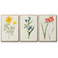 Flowers of the Seasons IV - Framed Premium Gallery Wrapped Canvas L Frame 3 Piece Set - Ready to Hang