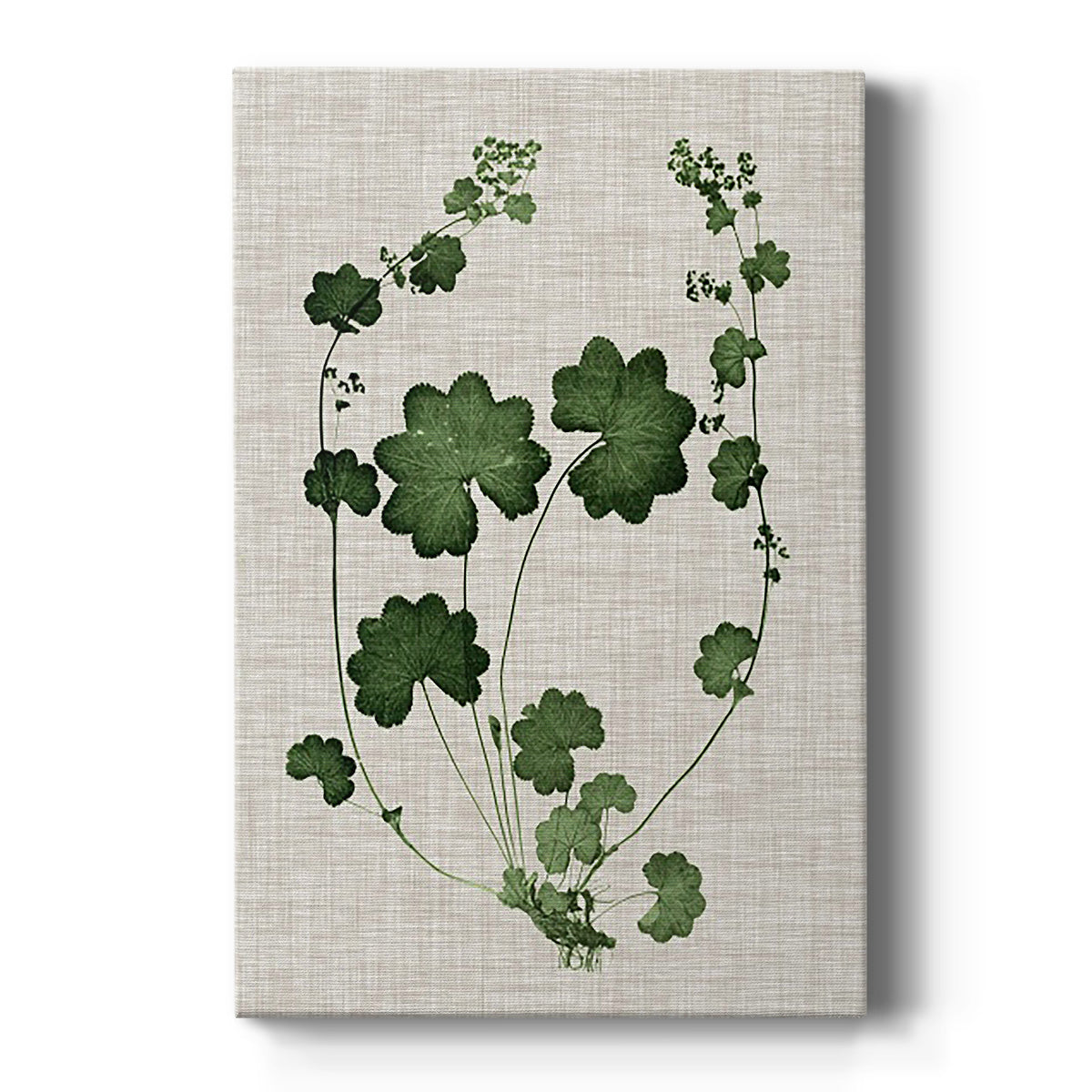 Forest Foliage on Linen II Premium Gallery Wrapped Canvas - Ready to Hang