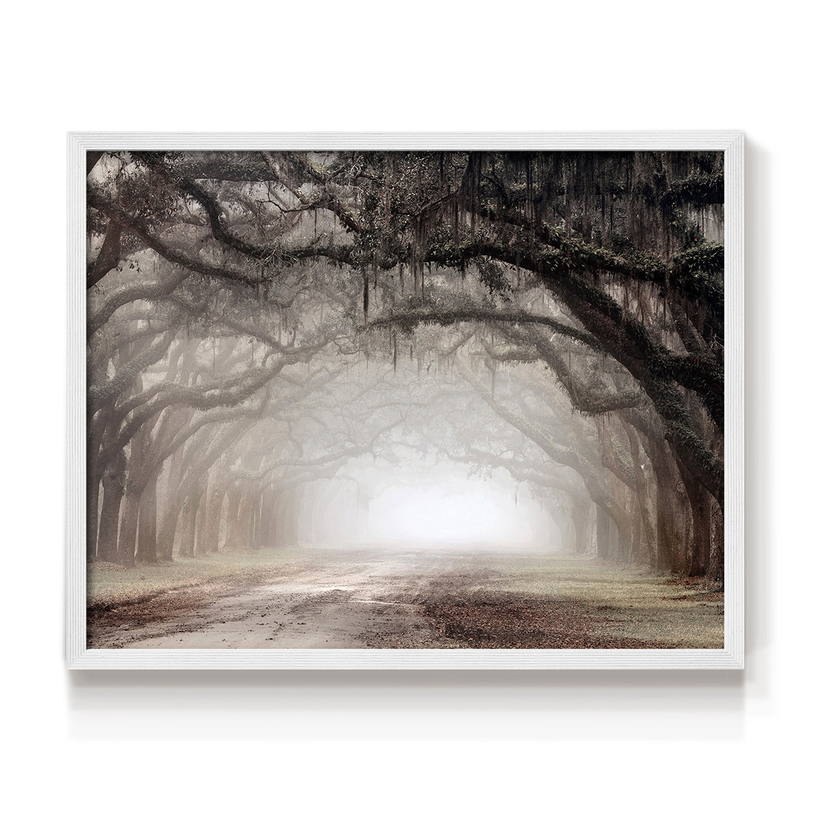Timeless Plantation Drive - Restickable Framed Art Print