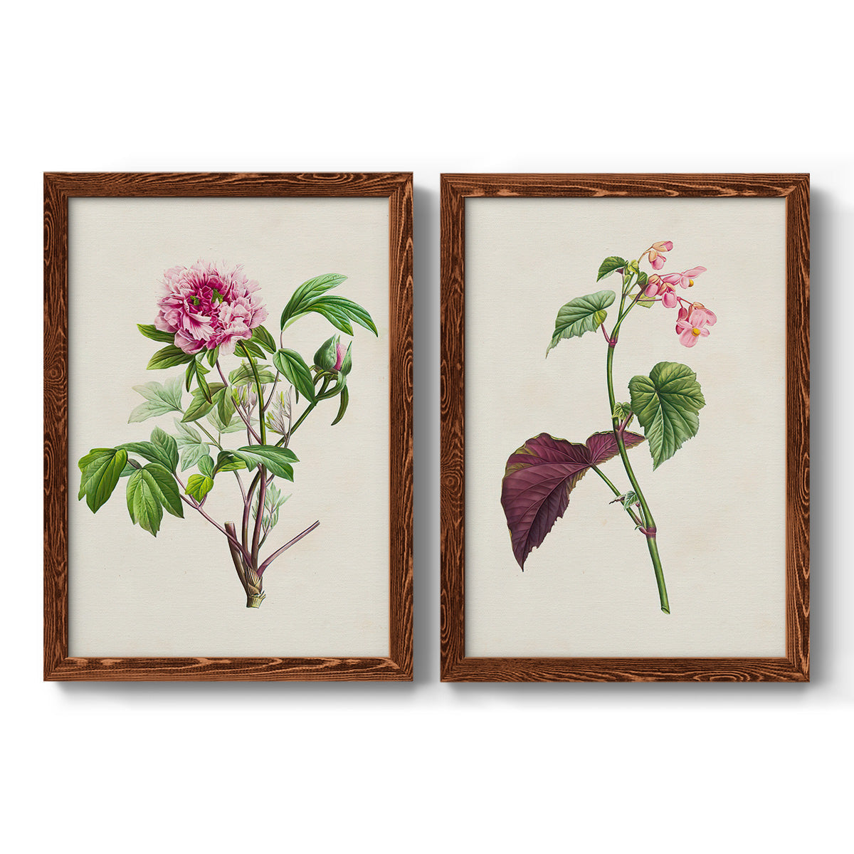 Pretty Pink Botanicals V - Barnwood Framed Canvas Set