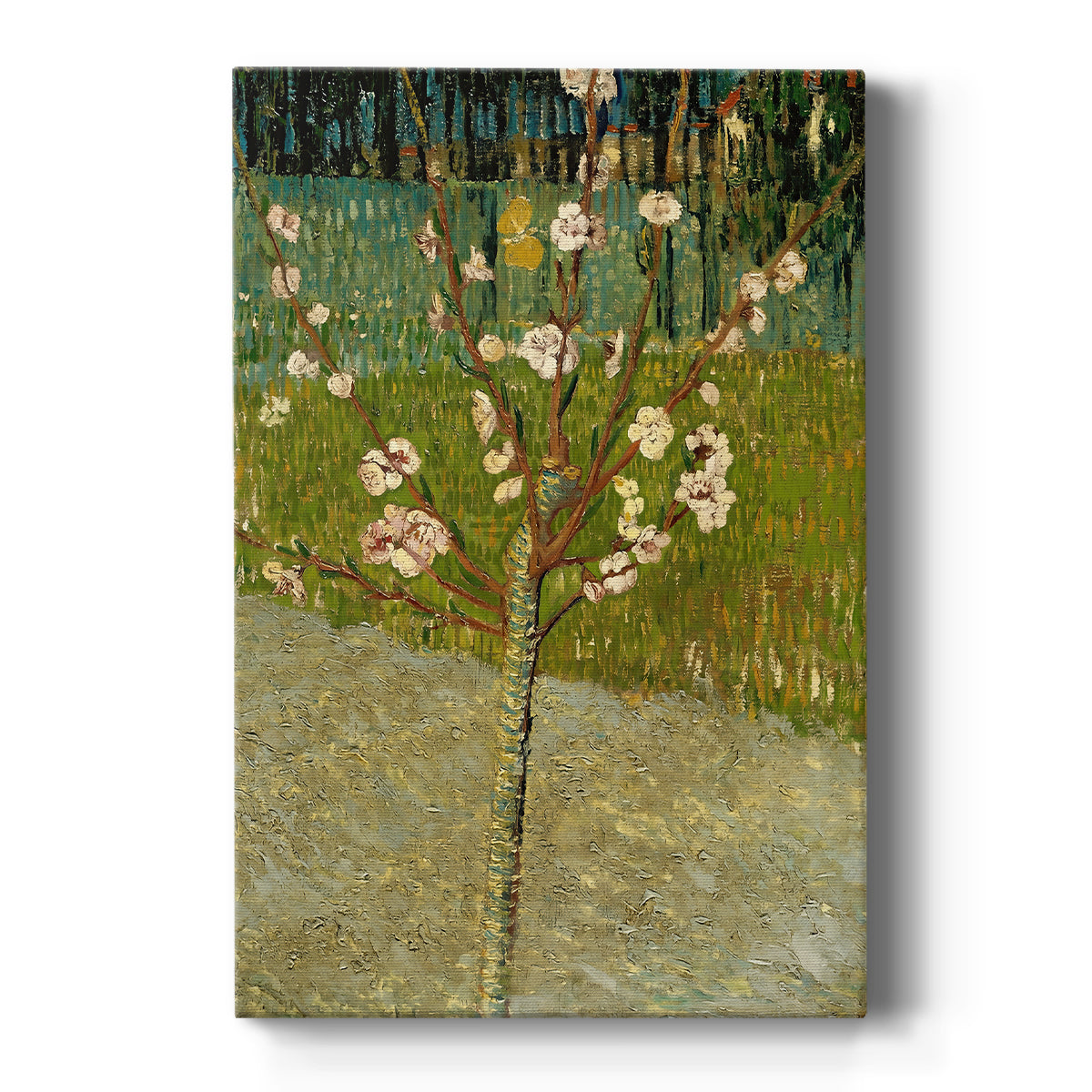 Canvas art print featuring an expressive scene of blooming branches against a bright blue sky on a clean white background.