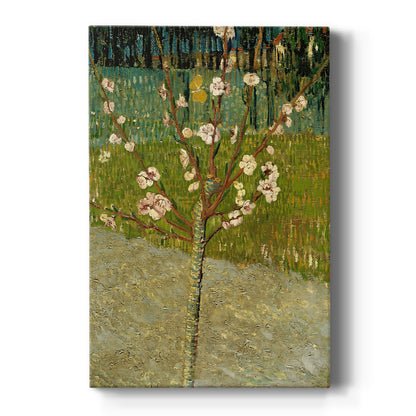 Canvas art print featuring an expressive scene of blooming branches against a bright blue sky on a clean white background.