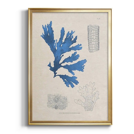 Blue Marine Algae VIII - Modern Framed Canvas Print