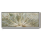 Macro Dandelion IV - Floater Framed Canvas Print