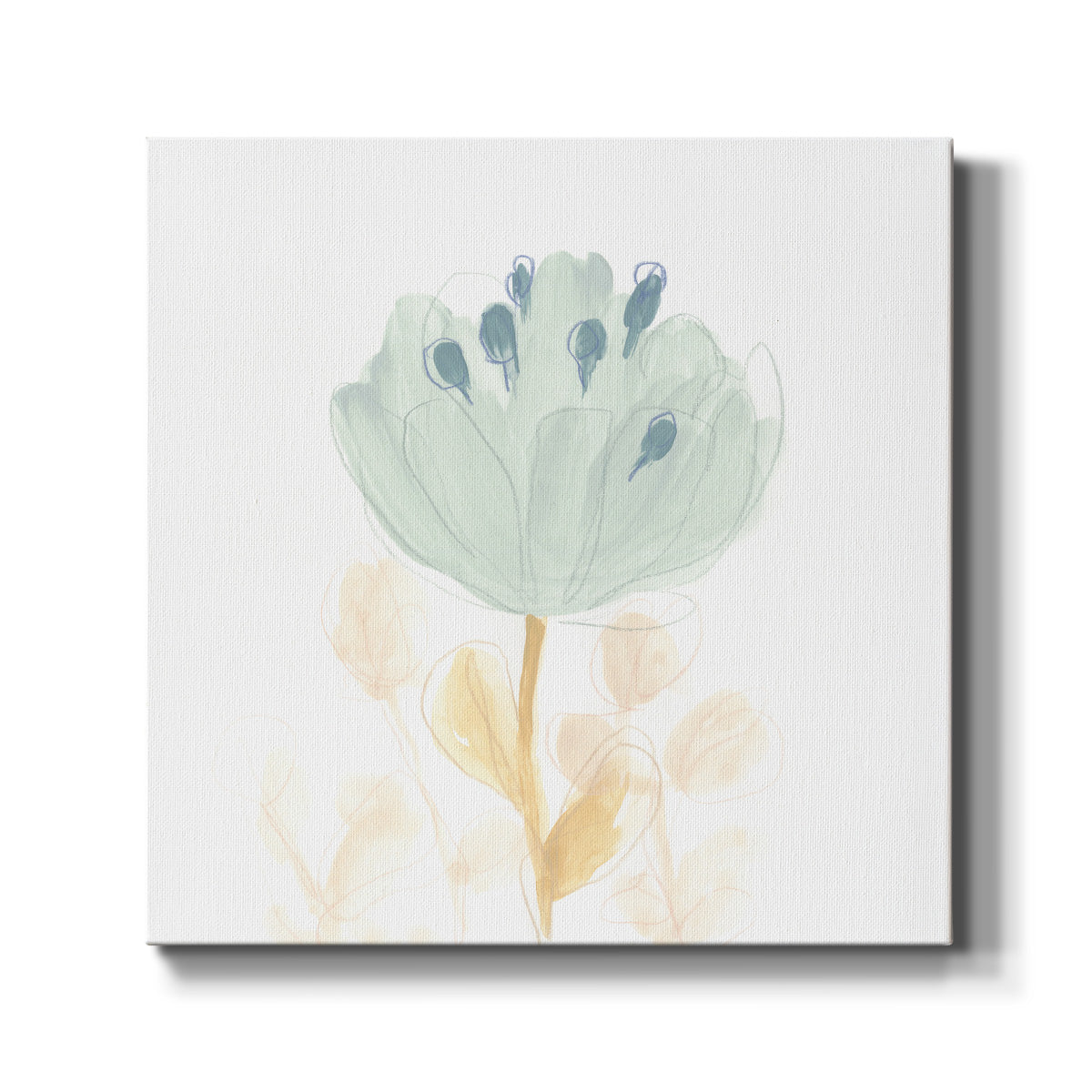 Petite Petals V - Canvas Art Print