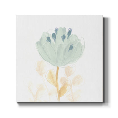 Petite Petals V - Canvas Art Print