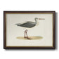 Morris Sandpipers I Premium Framed Canvas- Ready to Hang