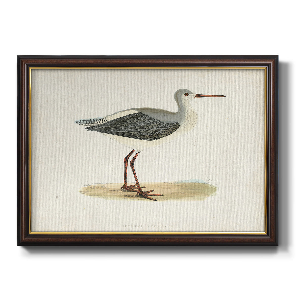 Morris Sandpipers I Premium Framed Canvas- Ready to Hang