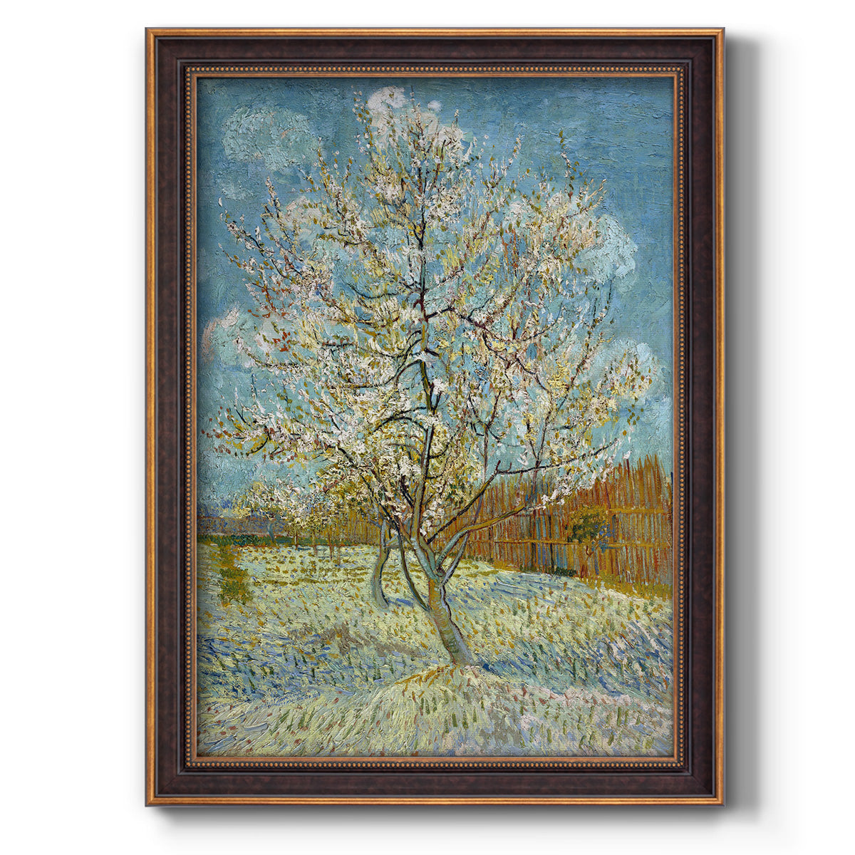  The Pink Peach Tree - Ornate Framed Canvas Print