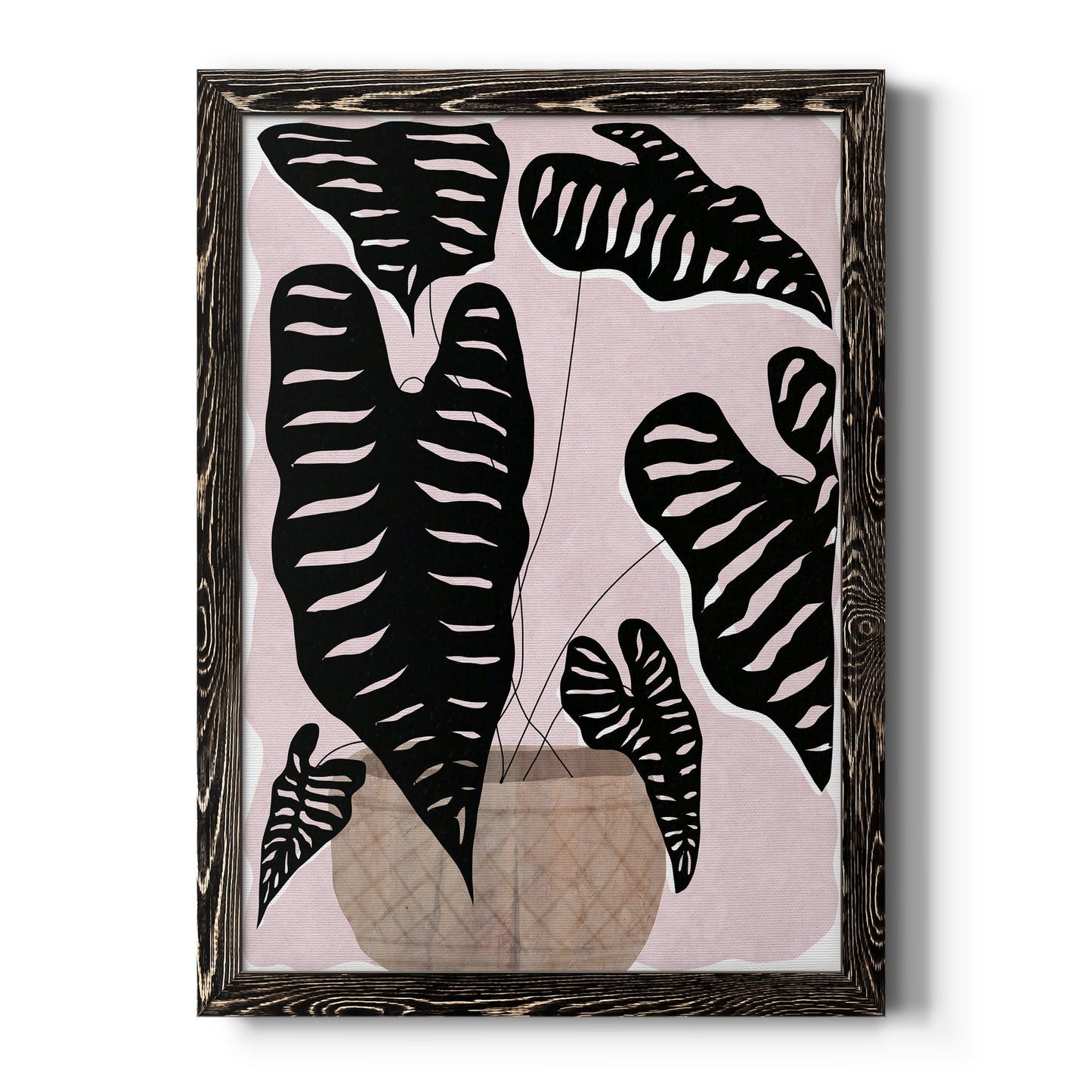 Potted Plant II - Barnwood Framed Canvas Print