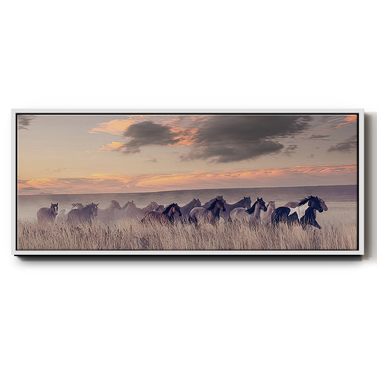 Wild and Free II - Floater Framed Canvas Print