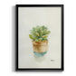 Succulent II - Modern Framed Canvas Print