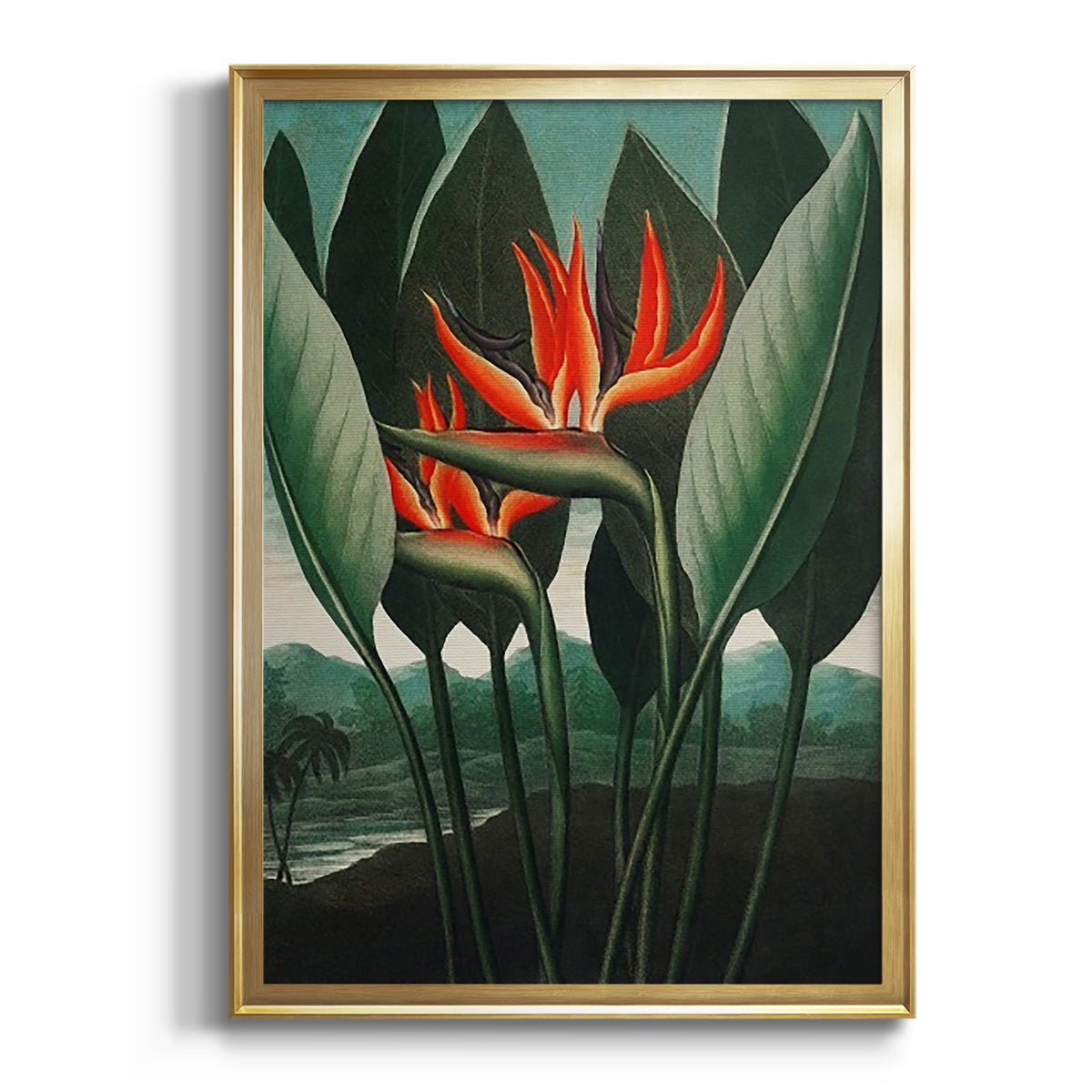 Temple of Flora IV - Modern Framed Canvas Print