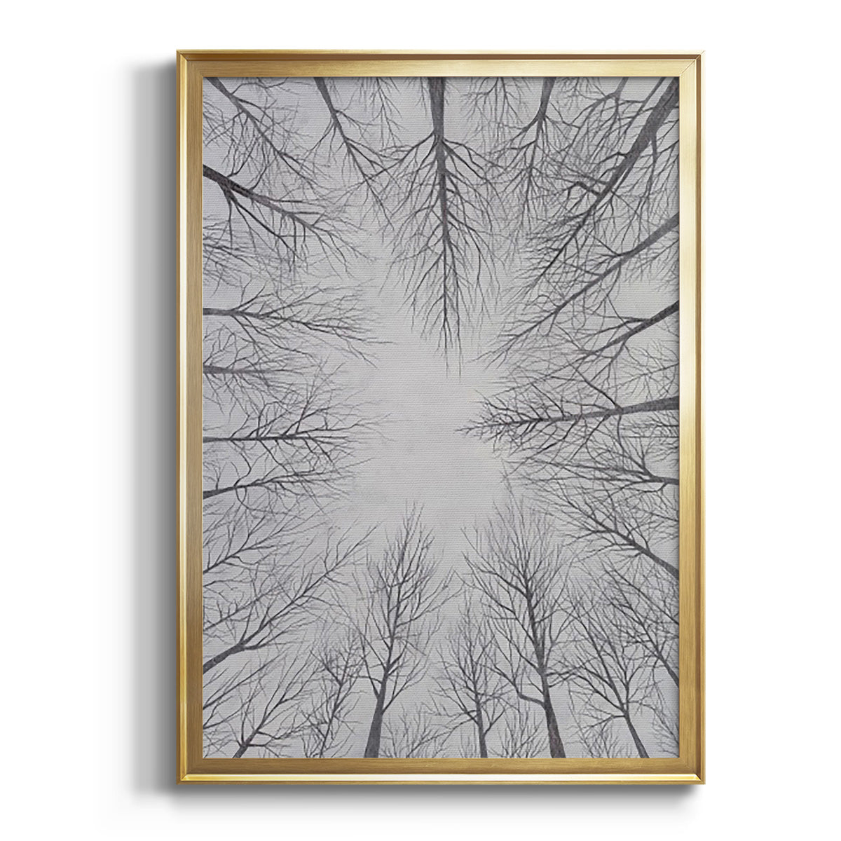 Deciduous Canopy I - Modern Framed Canvas Print